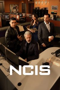 Saison NCIS : Enquêtes spéciales saison 22