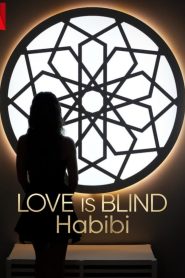 Love Is Blind, Habibi saison 1