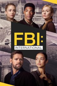 FBI: International saison 3