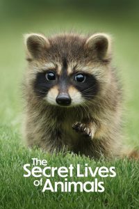 Saison La Vie secrète des animaux saison 1